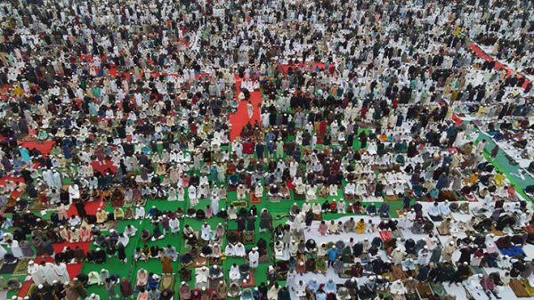 Untitled 1 recovered 2503310644