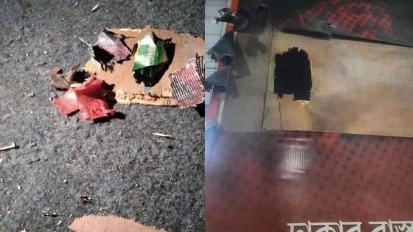 Web image copy 20250703 004700106