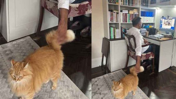 Web image.jpg 4578 20250907 214252191