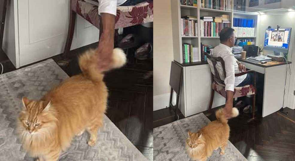 বিড়ালের সাথে তারেক রহমানের খুনসুটির ছবি পোস্ট, উচ্ছ্বসিত শুভাকাঙ্ক্ষীরা