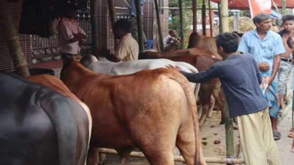 Web image.jpgm 20250429 114010421