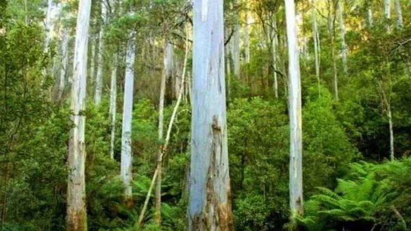 Web image12 20250515 175023392