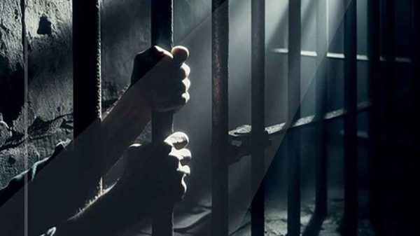 Web image16 20250619 135040158