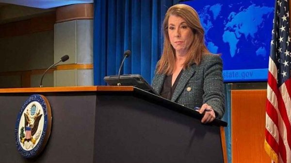 Web image 20250325 113116016