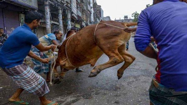 Web image 20250607 092317208