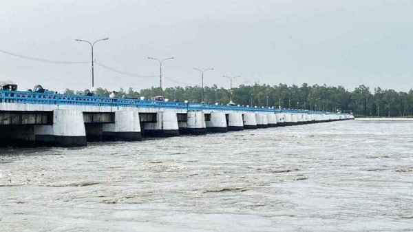 Web image 20250813 135838238