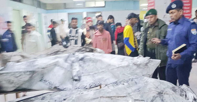 দুর্বৃত্তদের আগুনে প্রাণ গেলো মা-শিশুসন্তানসহ ৪ যাত্রীর