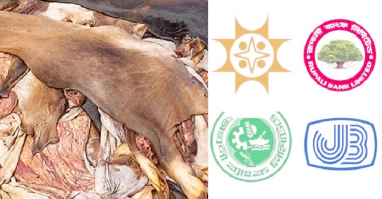 চামড়া কিনতে ২৫৮ কোটি টাকা ঋণ দিচ্ছে রাষ্ট্রায়ত্ত ৪ ব্যাংক