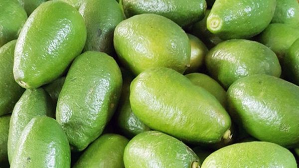 Bc0ca5686984dbc6ad2ad79262ab0862d6cc72e0822aafdf