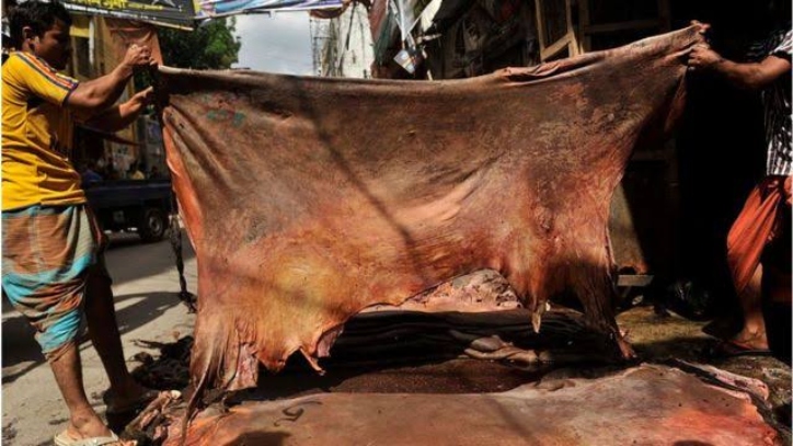 দাম ভালো হলেও পোস্তায় আমদানি কম চামড়ার