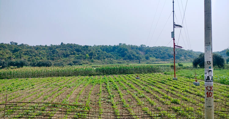 বাংলাদেশে পালিয়ে এলো বিজিপির আরও ১২ সদস্য