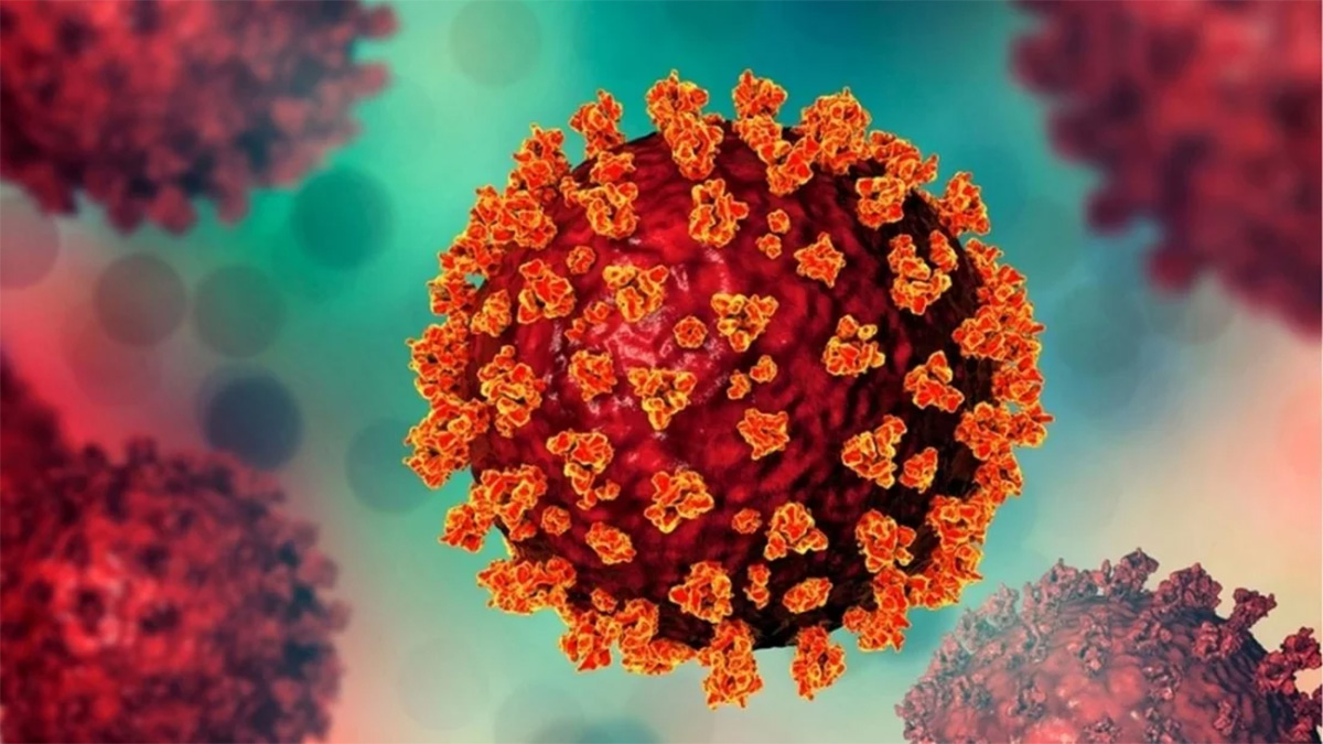 করোনায় প্রাণ গেল আরও ২ জনের