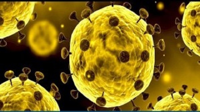 এক দিনে করোনায় ৫ জনের মৃত্যু, শনাক্ত ৪৯১