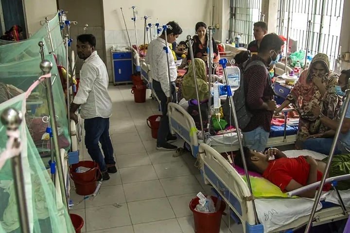 ডেঙ্গুতে আরও ৮ জনের মৃত্যু