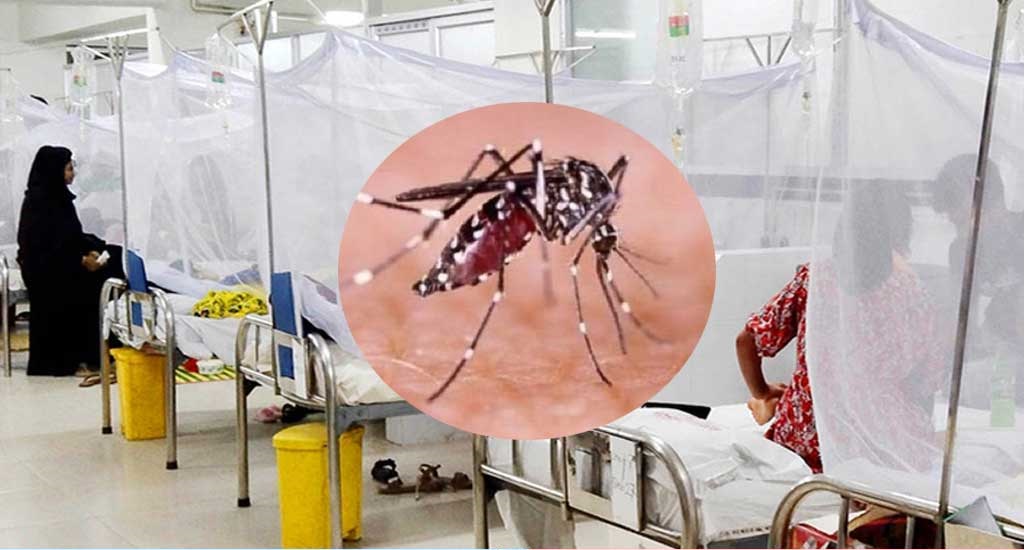 ২৪ ঘণ্টায় ডেঙ্গুতে ৮ জনের মৃত্যু, হাসপাতালে সহস্রাধিক