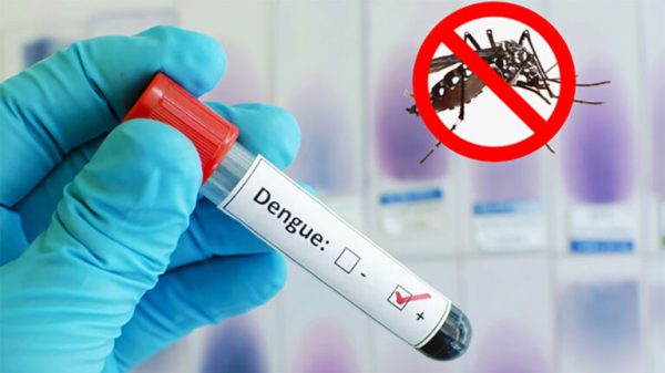 Dengue 1 768x432