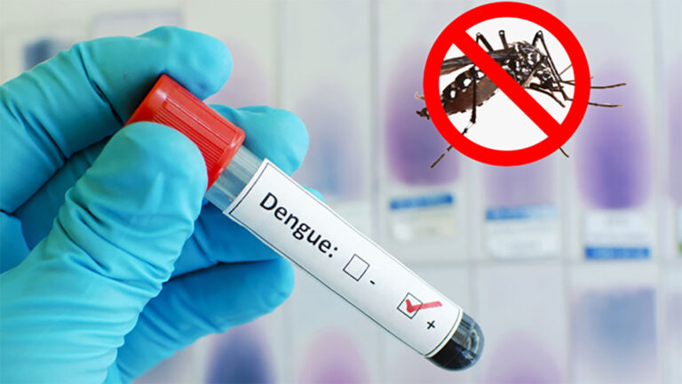 ডেঙ্গুতে আরও ৪ জনের মৃত্যু, হাসপাতালে ৭৮১