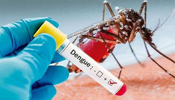 ডেঙ্গুতে একদিনে ৩৯২ জন হাসপাতালে, মৃত্যু ২