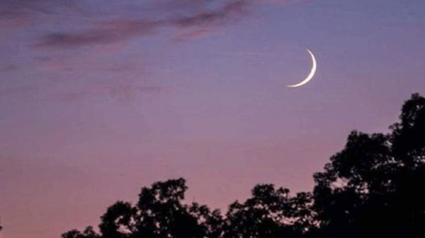 F02119bd4829a8e807db836b151849305cddf1a0b41d81ee2e6d7c4671d5e191.0