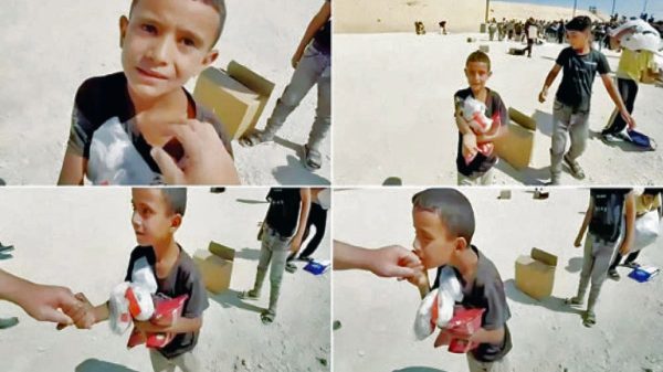 F533868e5f2354db297906d37847a525