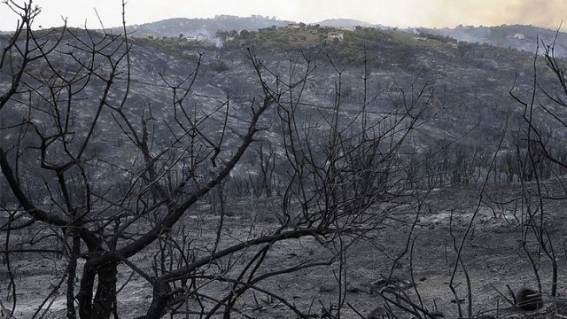 আলজেরিয়ায় দাবানলে ২৬ জনের মৃত্যু