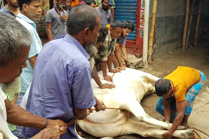 ঈদের দ্বিতীয় দিনও চলছে পশু কোরবানি