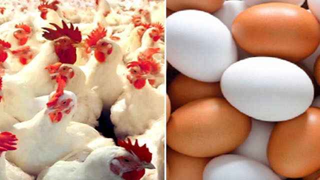 ডিম-মুরগির দাম বাড়িয়ে ৫২০ কোটি টাকা লুট