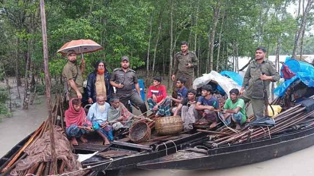 সুন্দরবনে বিষ দিয়ে মাছ শিকার, ৮ জেলে আটক
