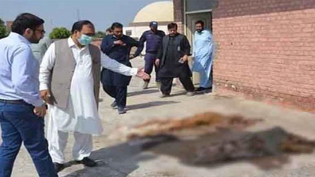 হাসপাতালের ছাদে ছড়িয়ে ছিল পচা-গলা ২ শতাধিক লাশ!