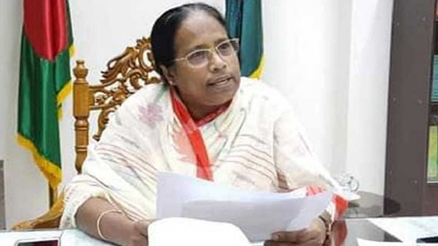 জাতীয় নির্বাচন ব্যালটে করার প্রস্তুতি নিতে বললেন ইসি রাশেদা