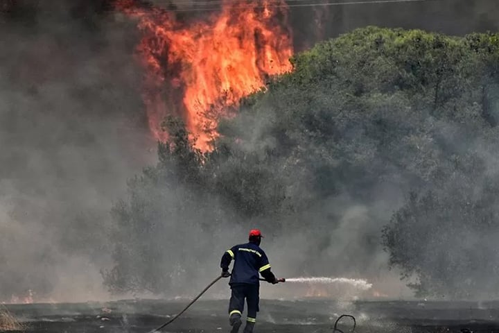 গ্রিসে ভয়াবহ রূপ নিচ্ছে দাবানল, পালাচ্ছে মানুষ