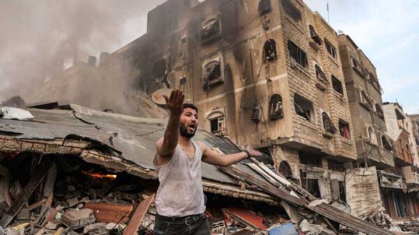 Image 243337 1697084035