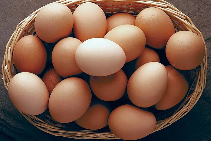 ডিমের নমুনা বিশ্লেষণ করে ভয়াবহ তথ্য দিলেন গবেষকরা