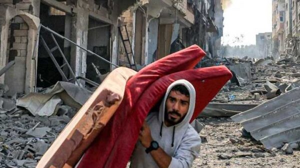 Image 243611 1697258080