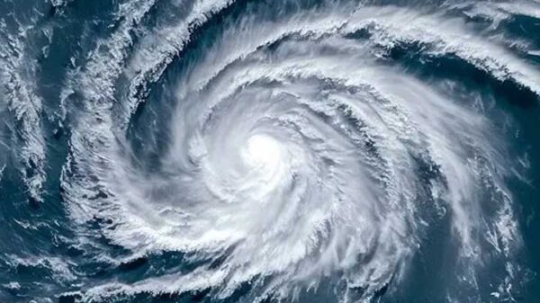 Image 244754 1697968731