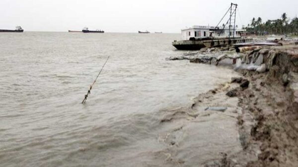 Image 245001 1698145820