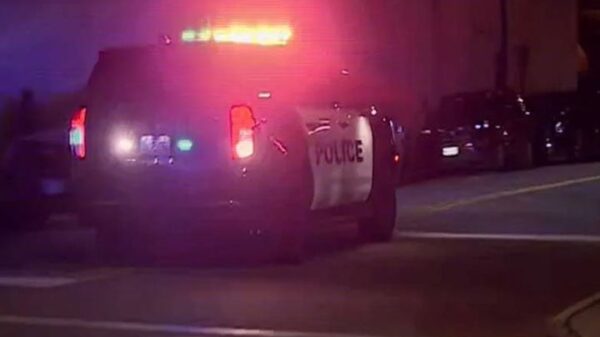 Image 245191 1698289937