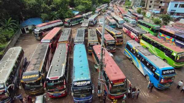 Image 245519 1698475206