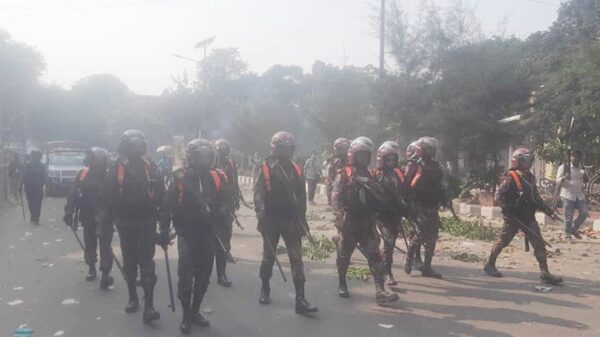 Image 245547 1698483677