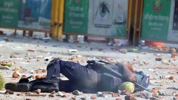 Image 245559 1698491091