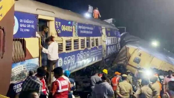 Image 245795 1698637618