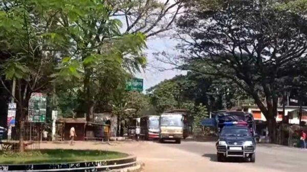 Image 245940 1698735078