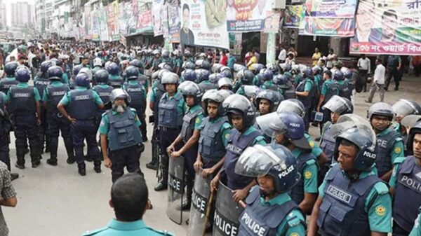 Image 246447 1699076256