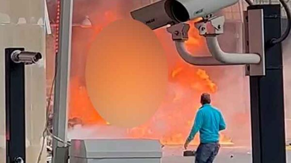 Image 249024 1700707371