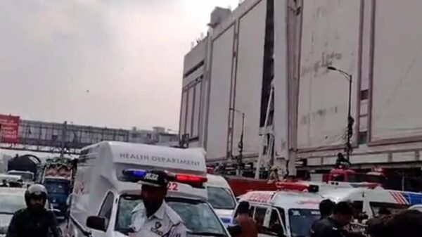 Image 249335 1700909269