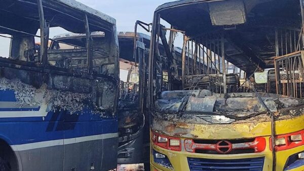 Image 249533 1701056767