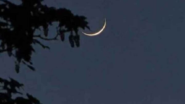 Image 251527 170236345