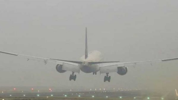 Image 257570 1705036073