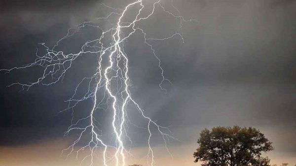 Image 272090 1714935553 20250415 195415549