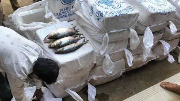 Image 290890 1726062300